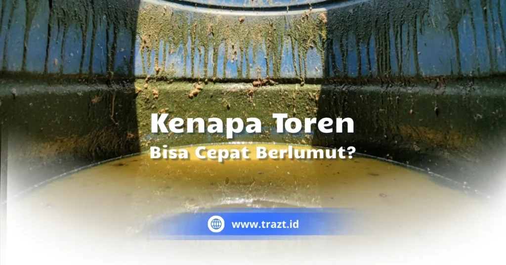 kenapa toren bisa cepat berlumut, cara cuci toren berlumut