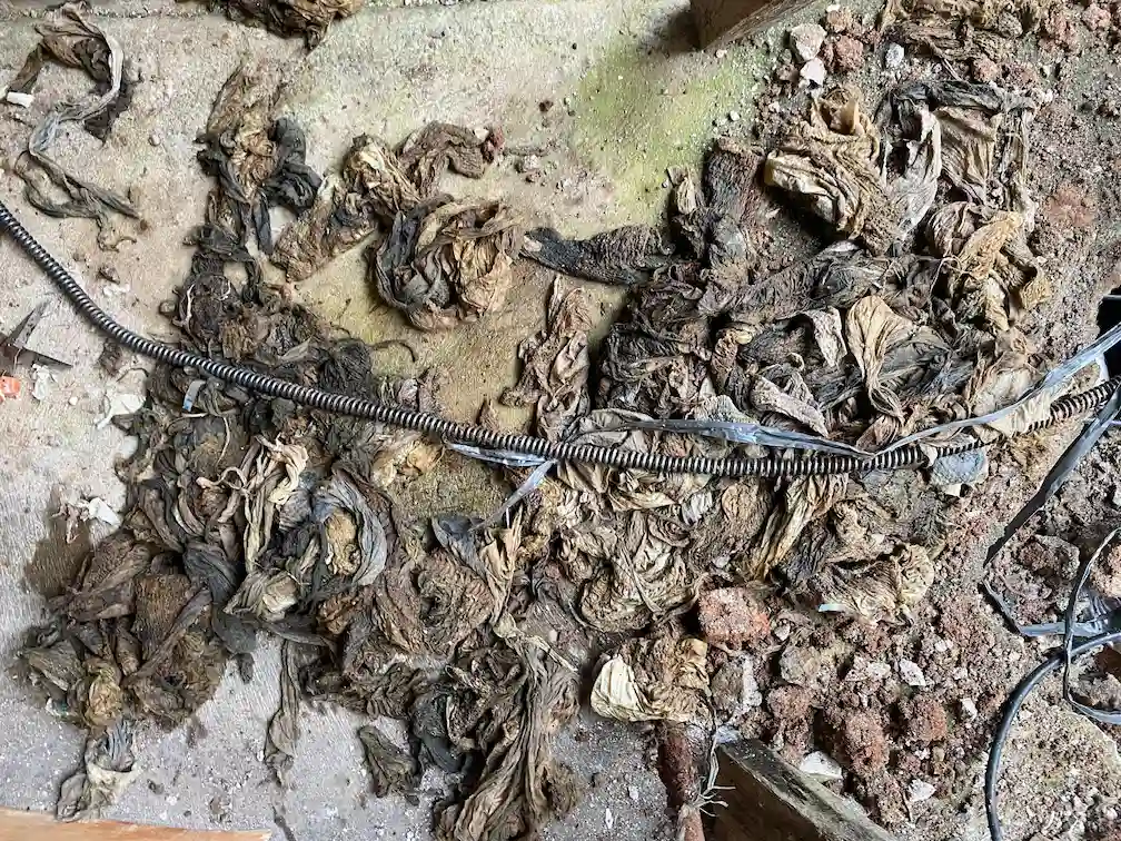 Tisu dan Kapas bekas popok, penyebab saluran pipa mampet