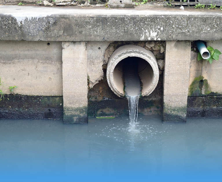 sedot lemak restoran