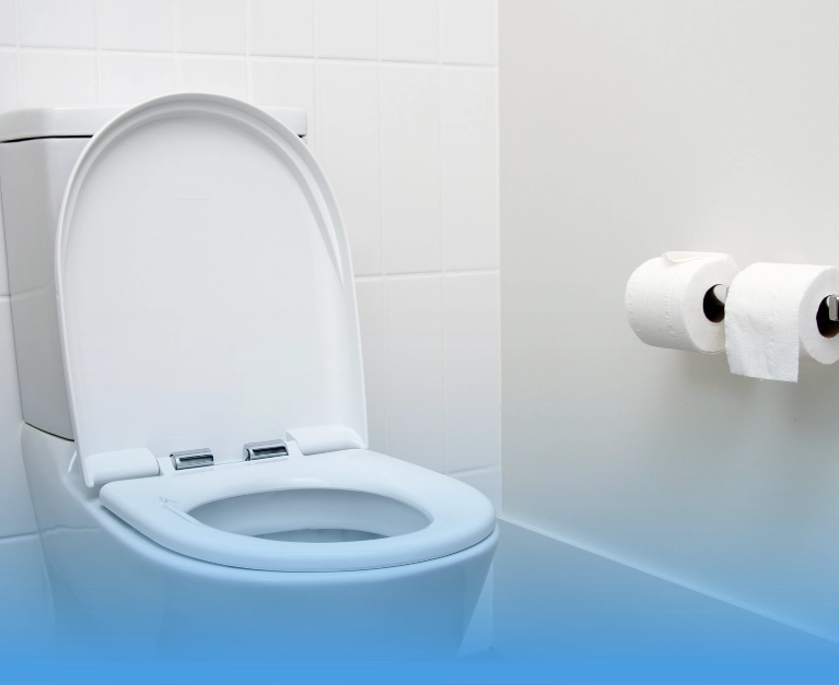 jasa pembersihan wc mampet